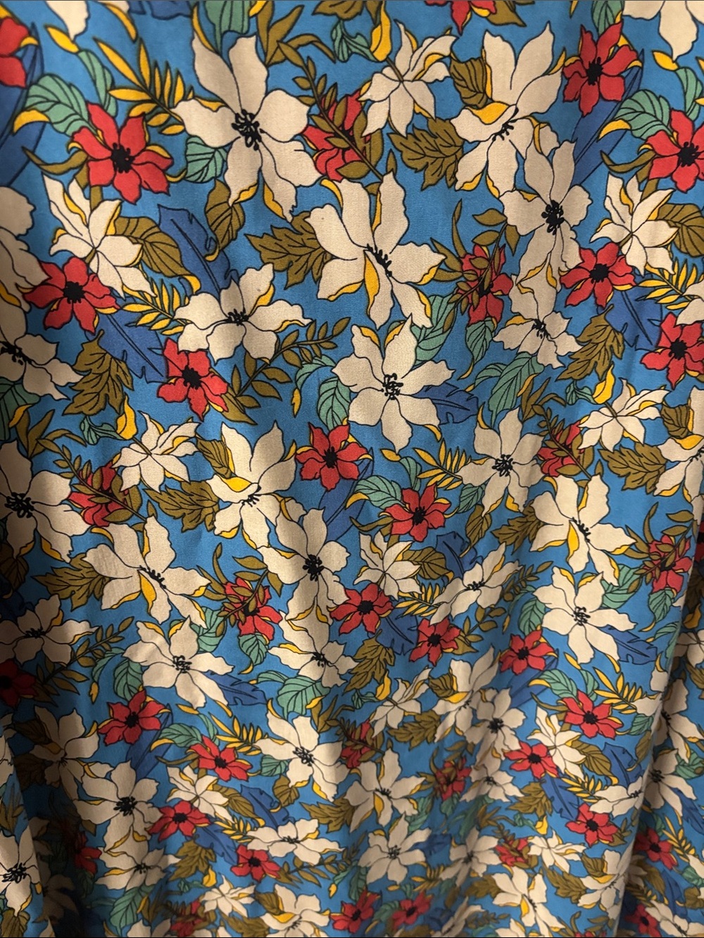 NATURAL LIFE Floral V-Neck Maxi Dress in Teal, Cream and Red - Picture 4 of 4